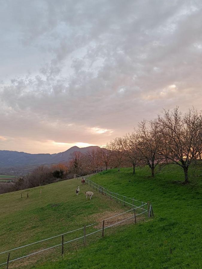 Le Perchoir Du Vercors - Panorama Sur Les Cimes Saint-André-en-Royans Extérieur photo